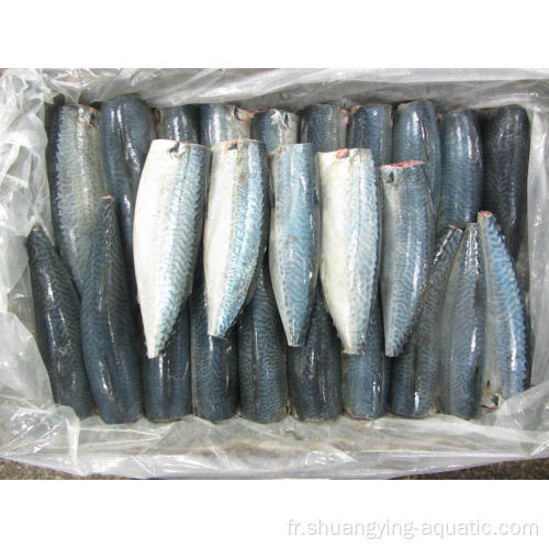 Frozen 150g HGT Pacific Mackerel Fish Guted